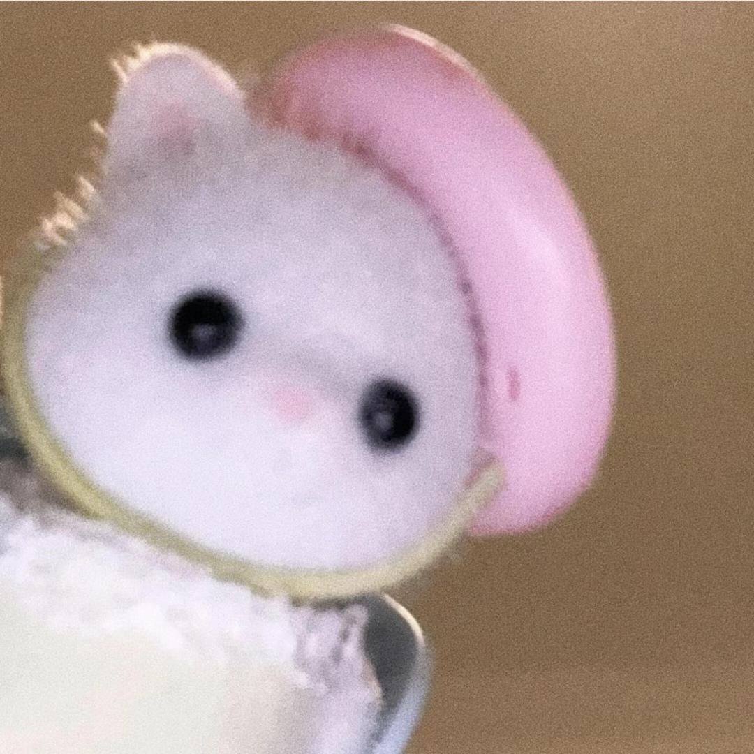 今天吃咩