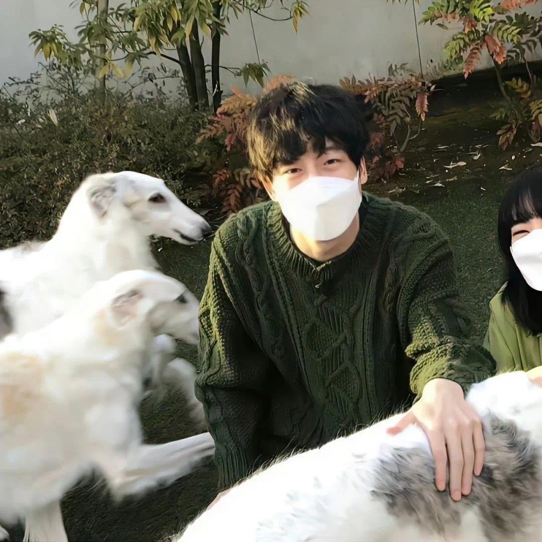 小柴