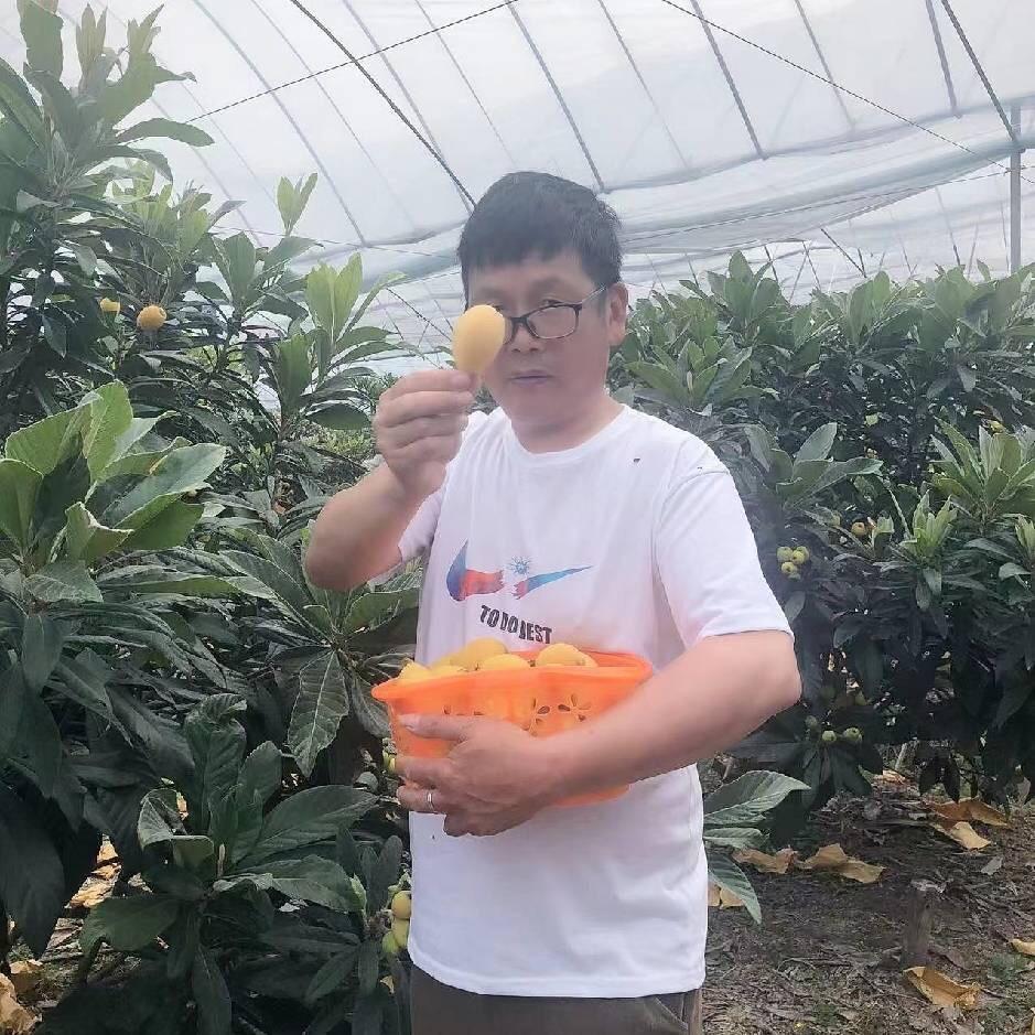 坞根于庆果园