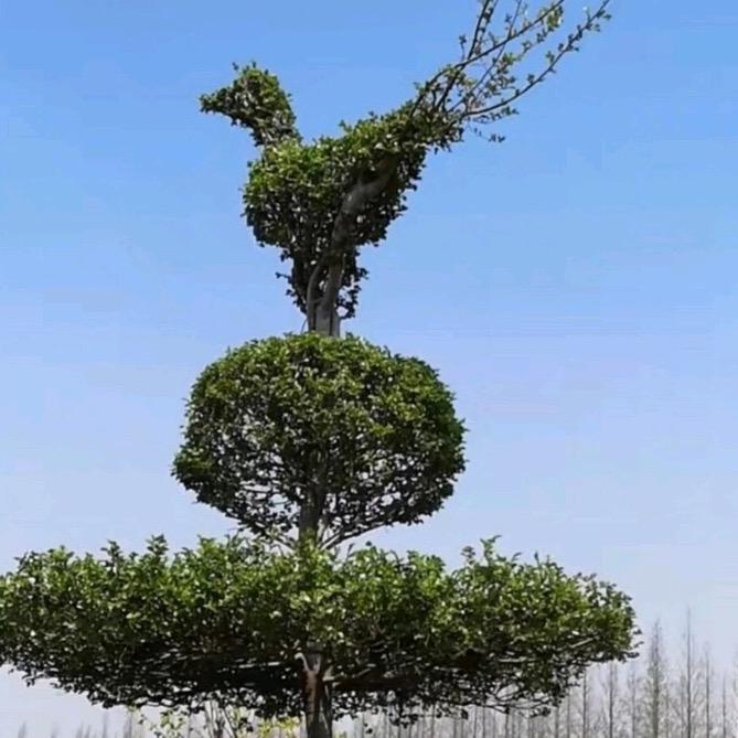 千山万水短视频制作
