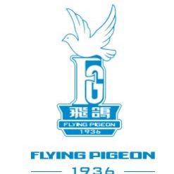 飞鸽 FLYING PIGEON母婴童车