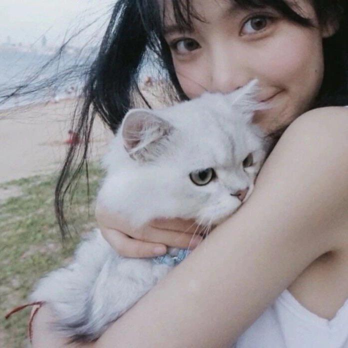 要吃糖碼