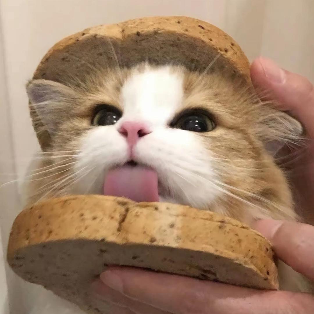 一个达不刘～（逆袭版）