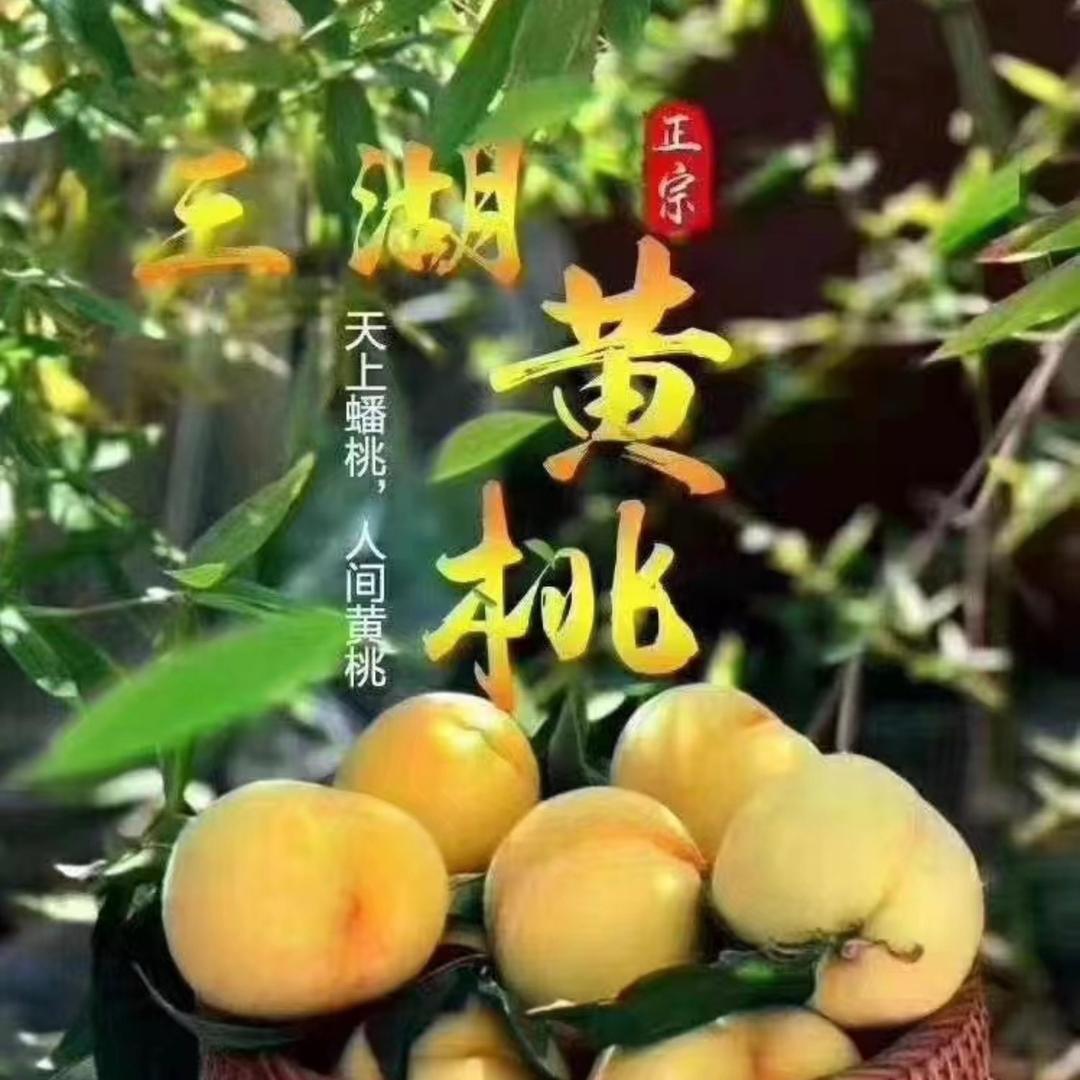 凯晴鲜果优品铺子