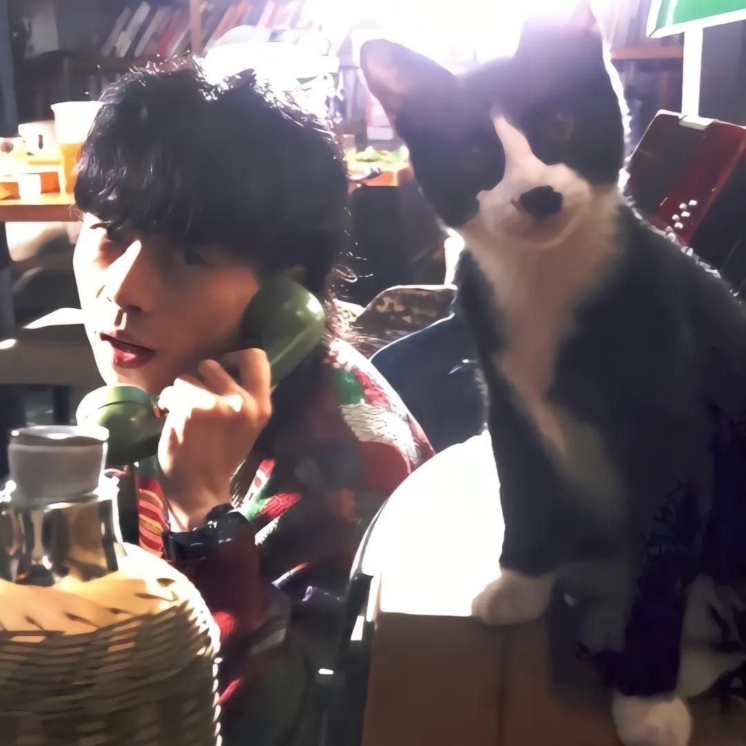 路游