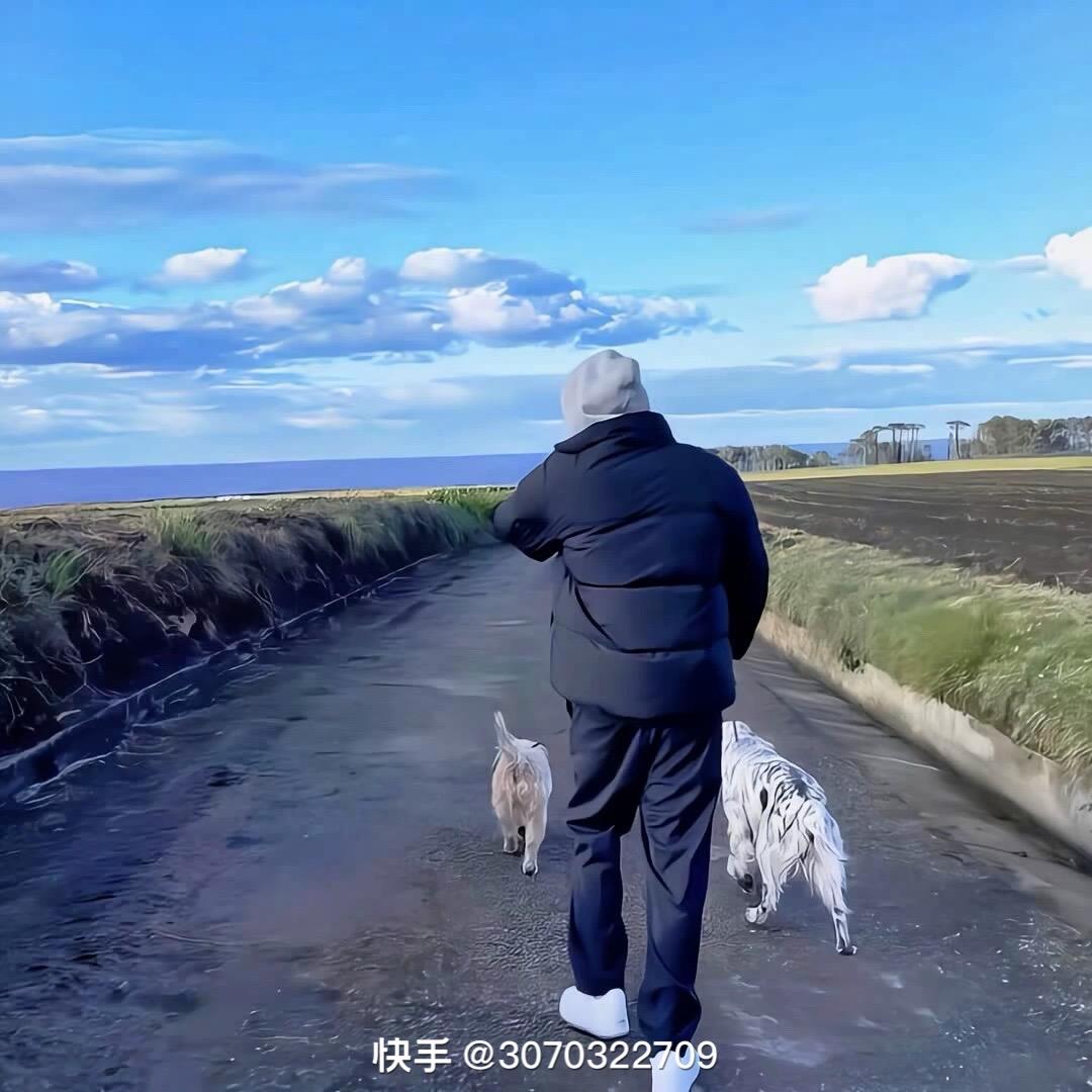 博