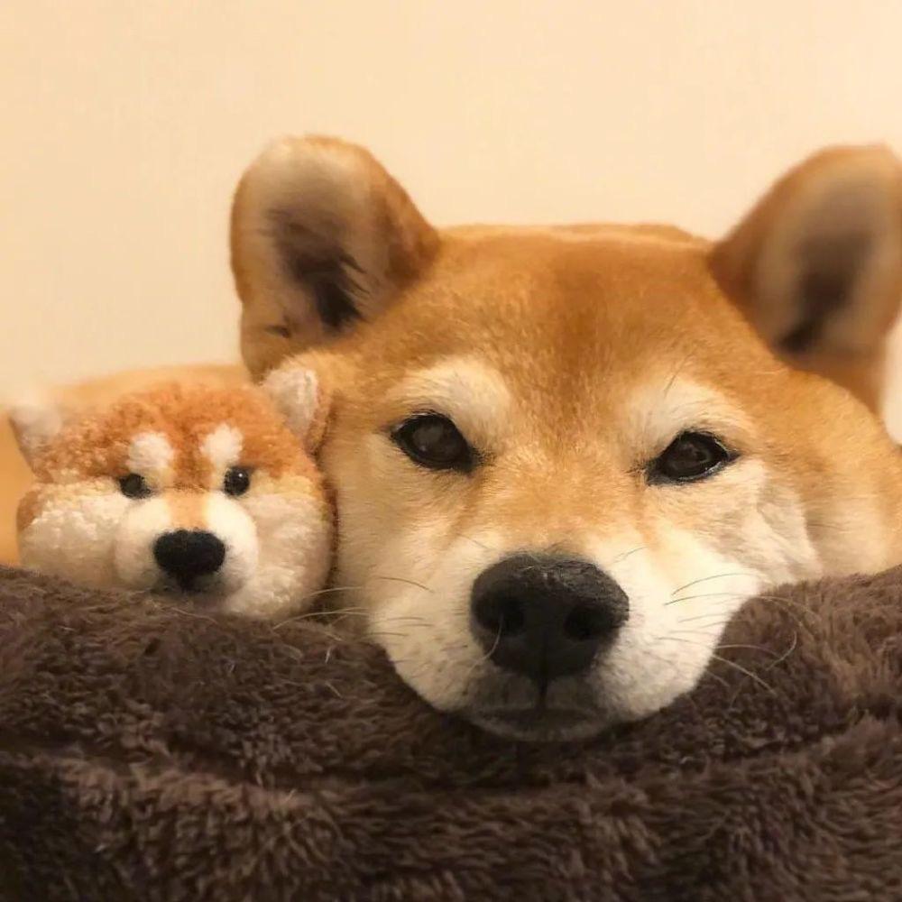 温柔