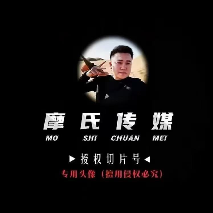 达摩切片～猪猪