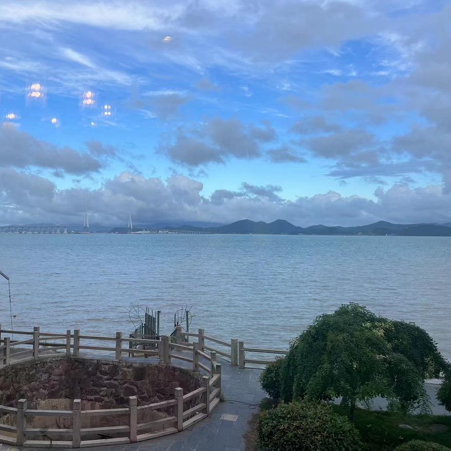 青汁小椰子