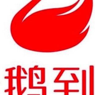 养宠（天鹅到家）