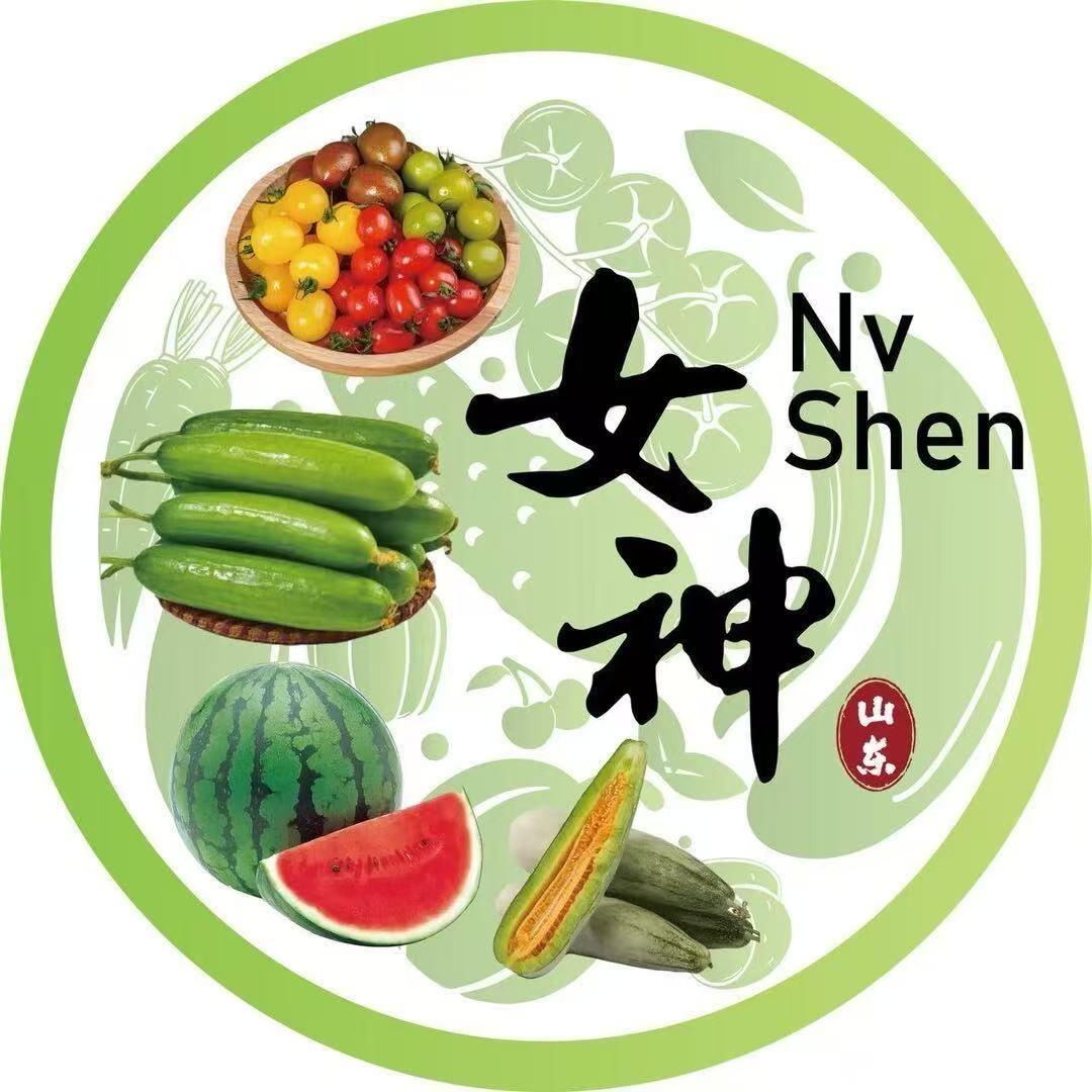 寿光女神全品供应链