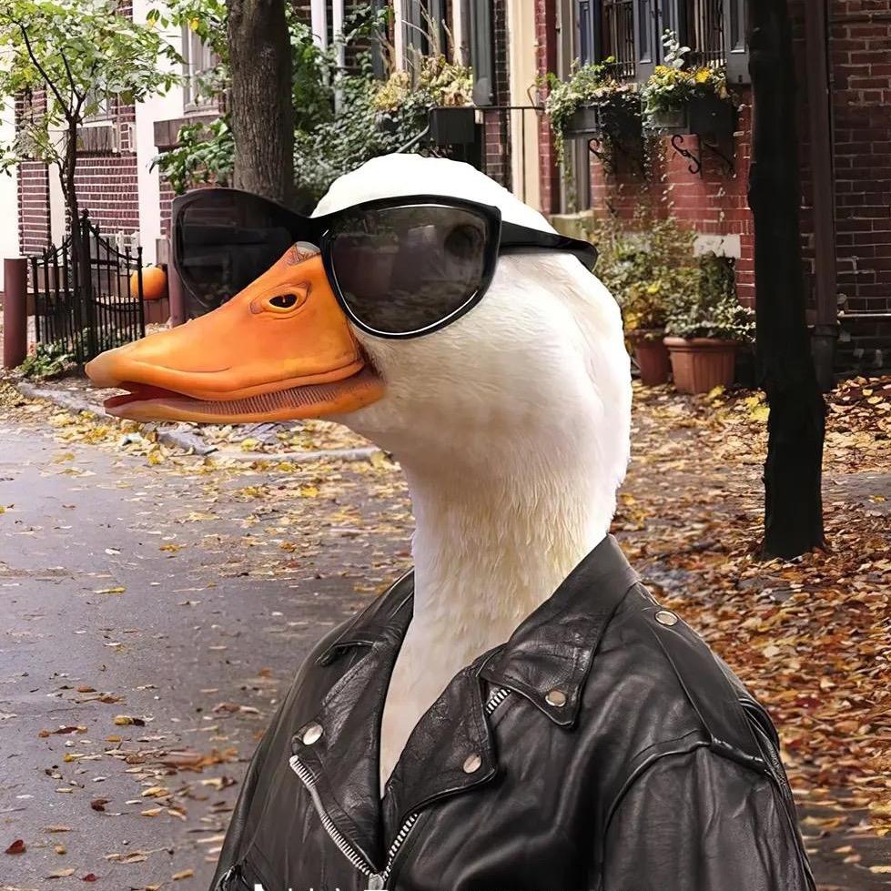 张小鸭🦆．