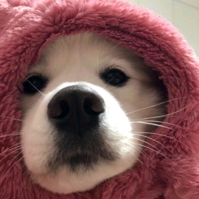 暗涌