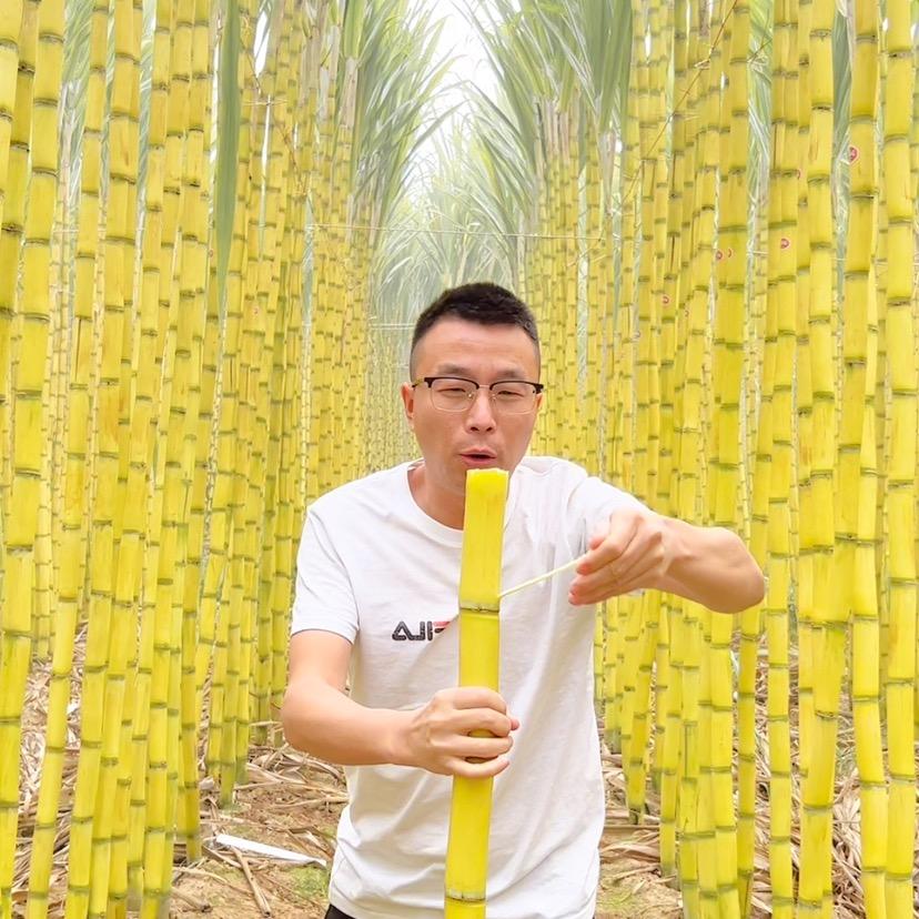 水果玩家.火哥
