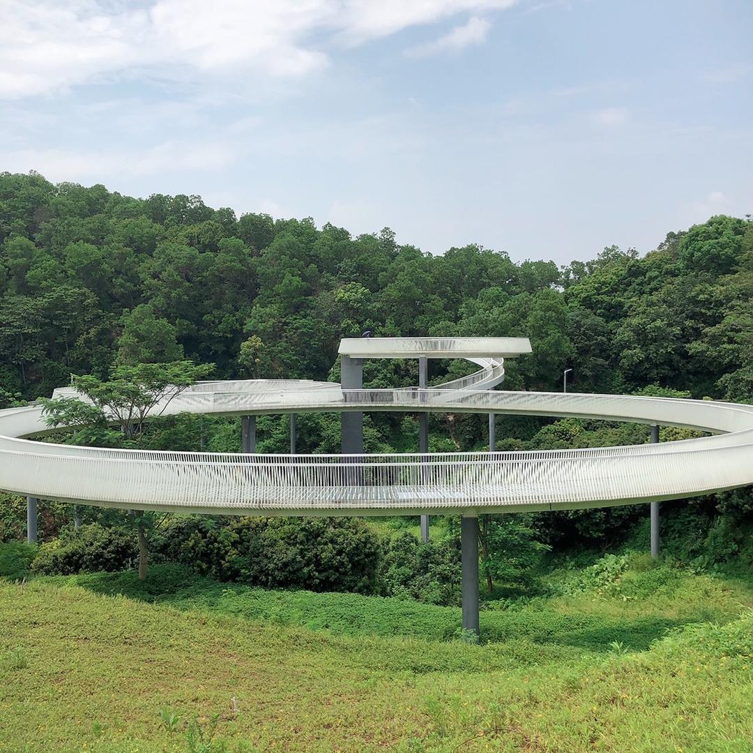 柳州老表在深圳