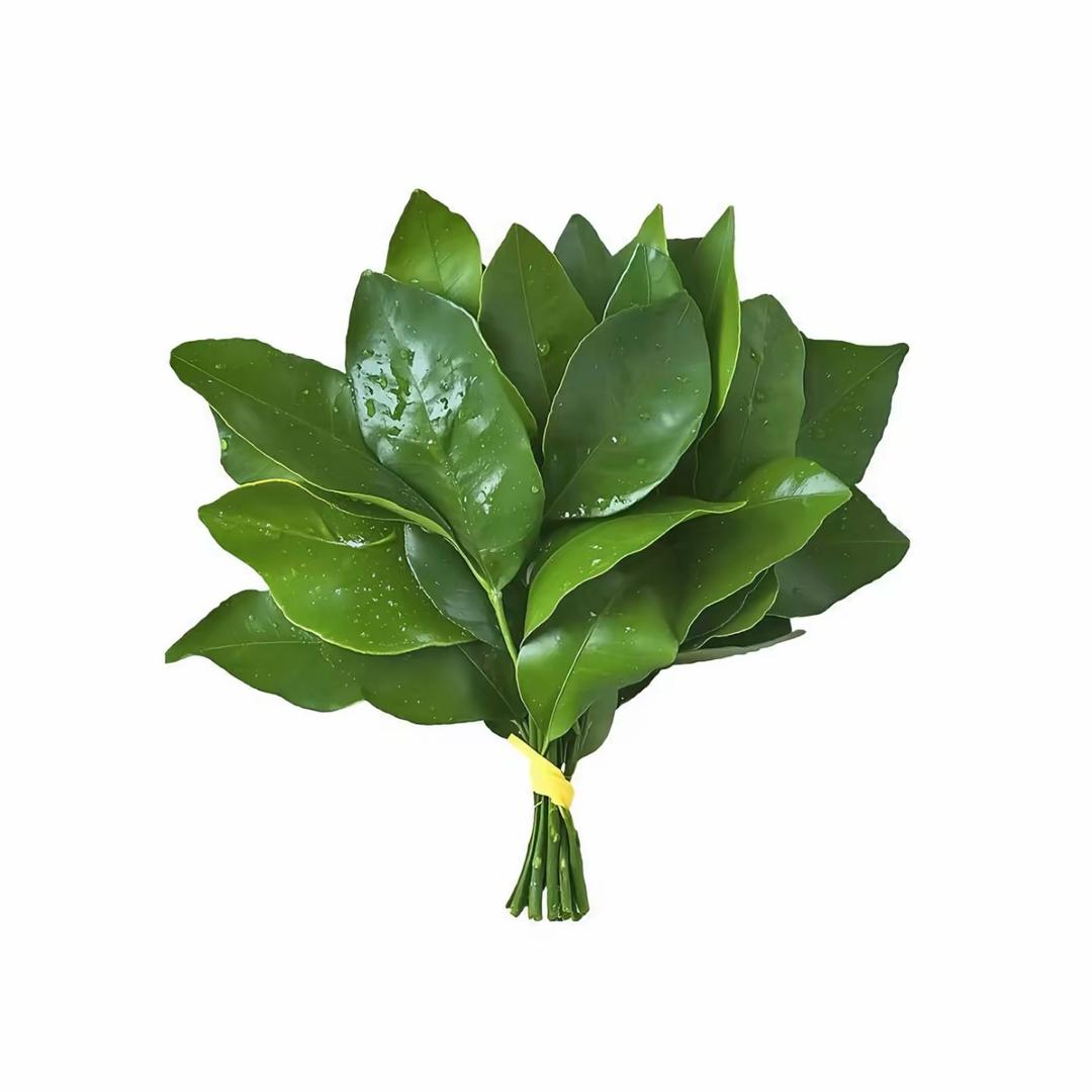 霸总的娇妻