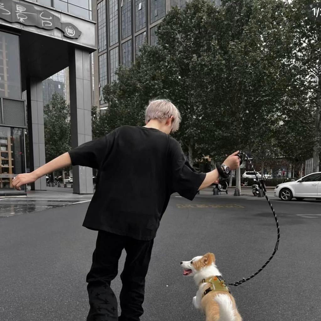 想贺可乐💞