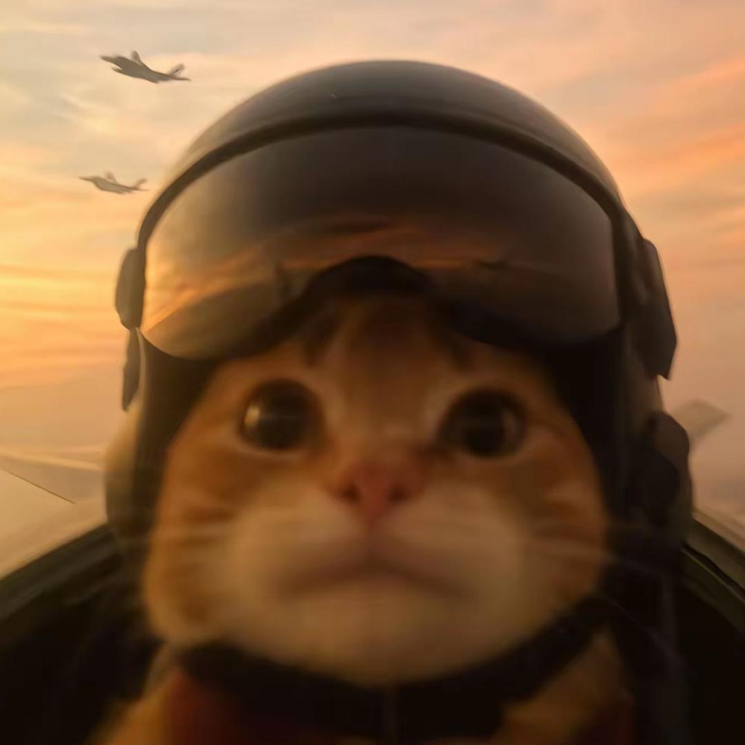 会飞的牛逼糖（AAA王牌飞行员）