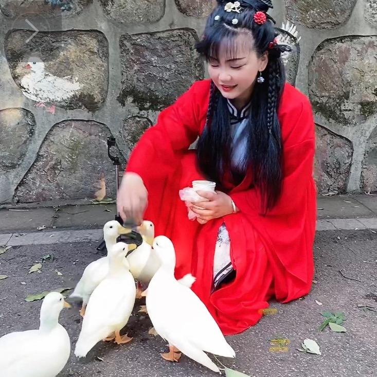 笑笑是东方笑鸭
