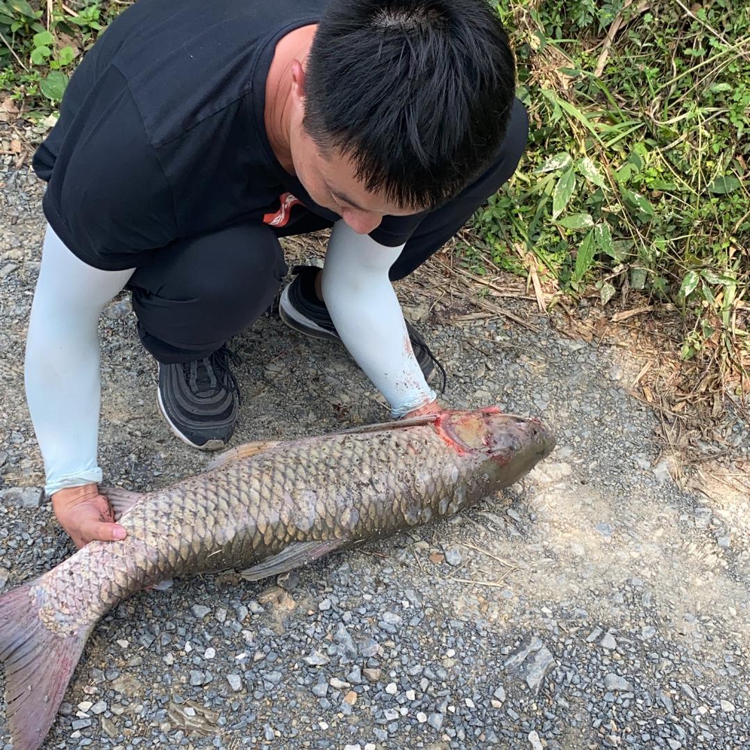 小李玩饵  勤能补拙
