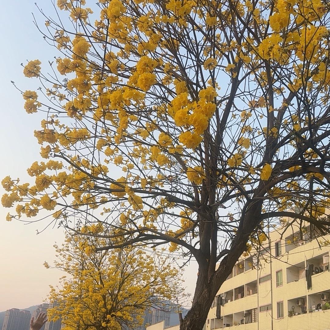 ල᭄往事💞清零