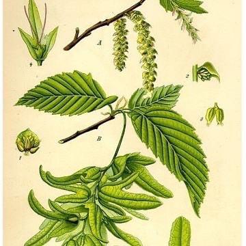 奶粉营养粉工厂