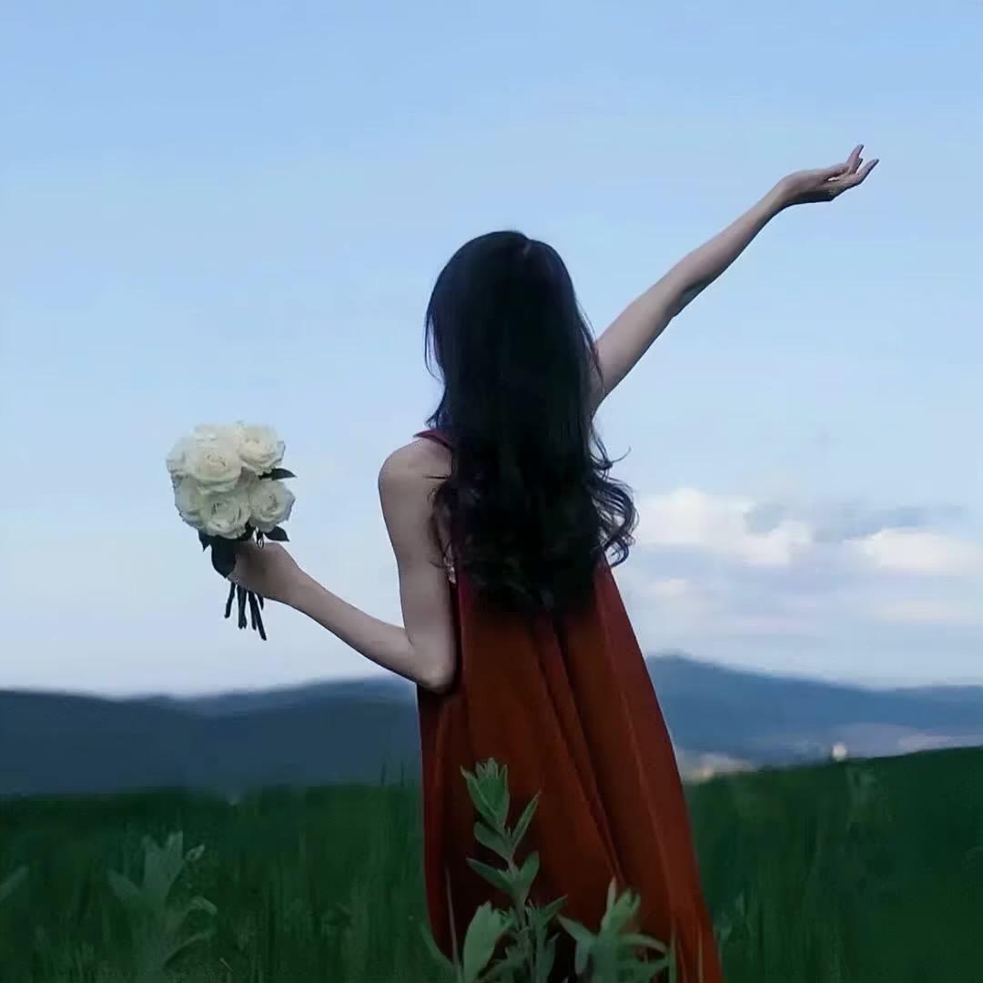 菲宝