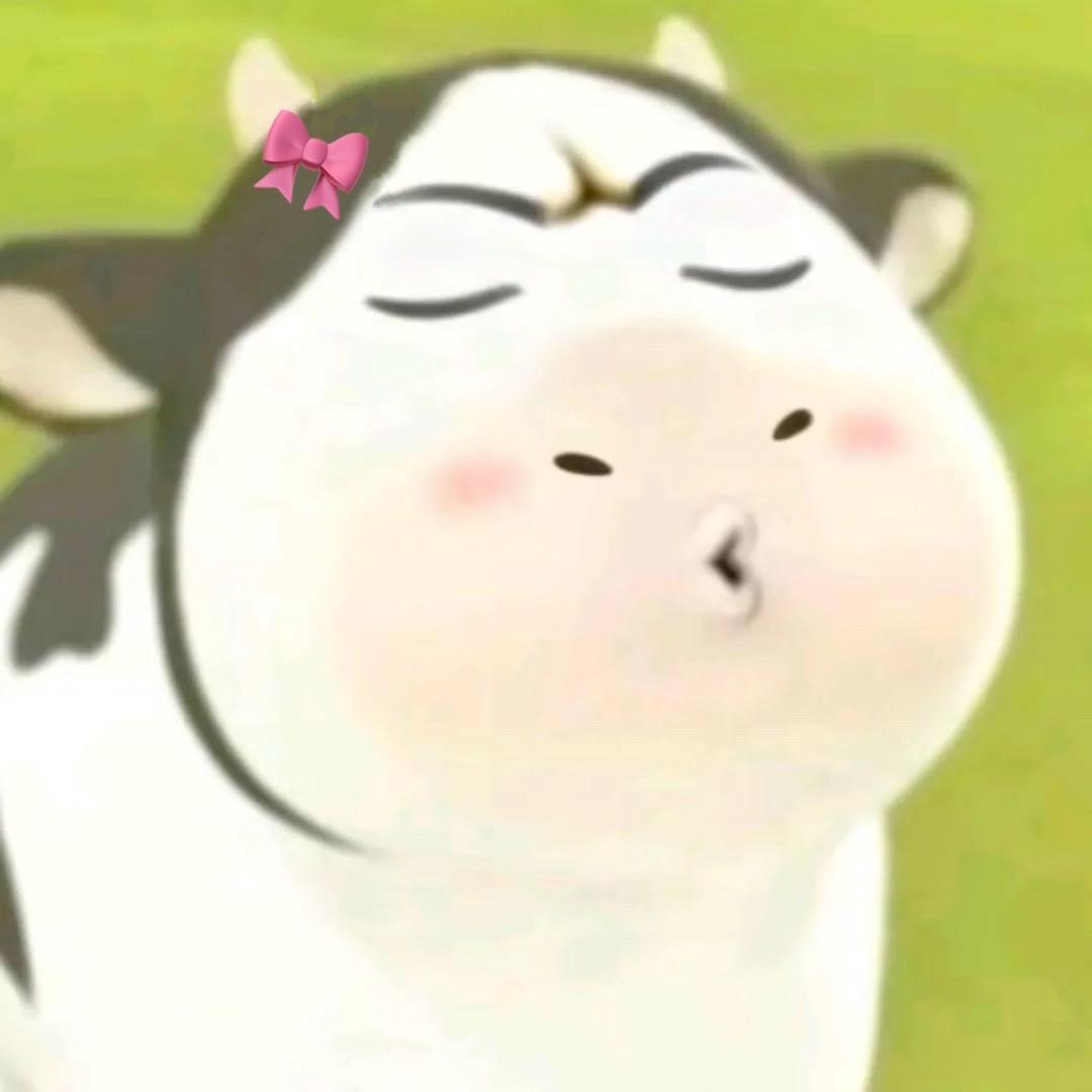 六六六六六圆圆圆圆圆