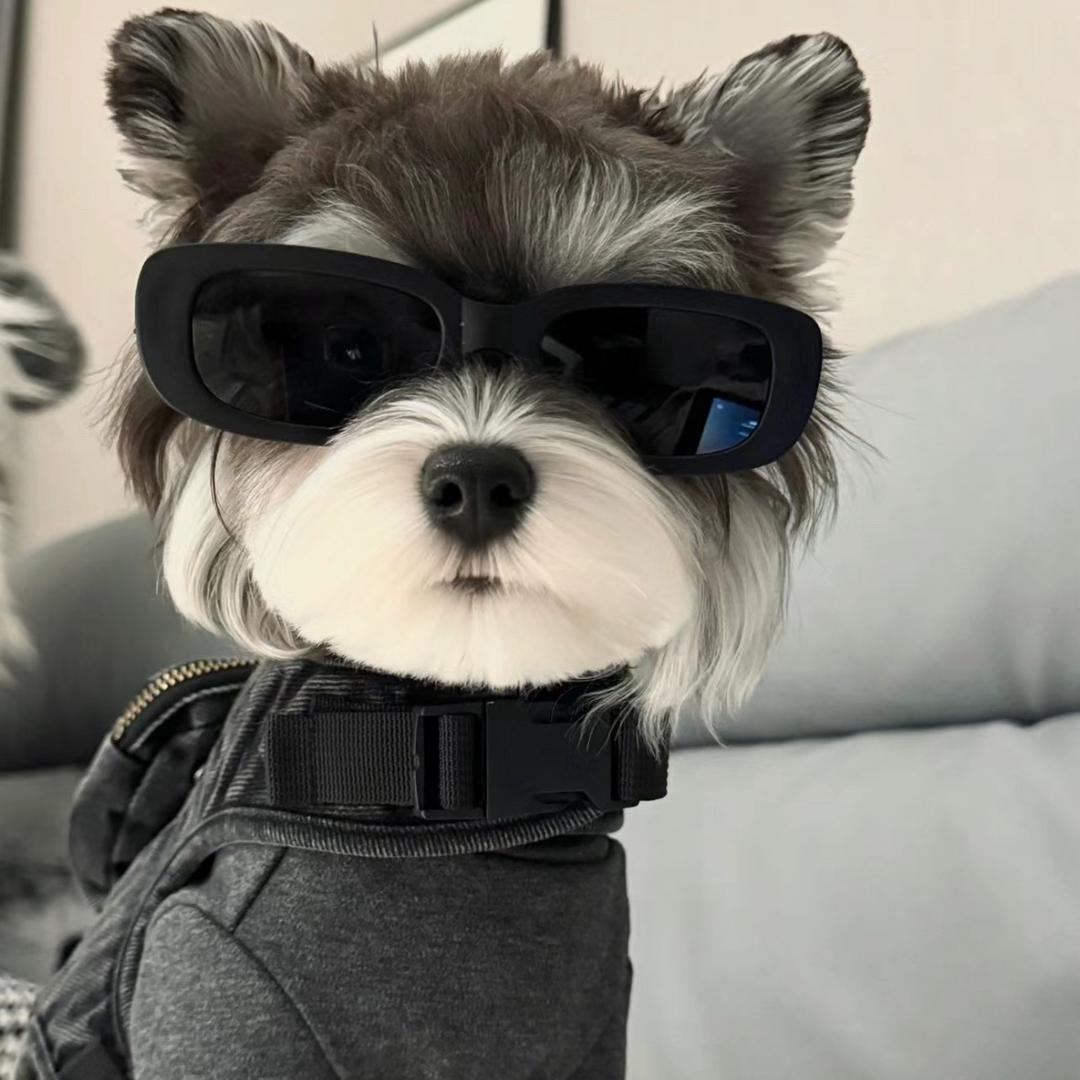 可恶