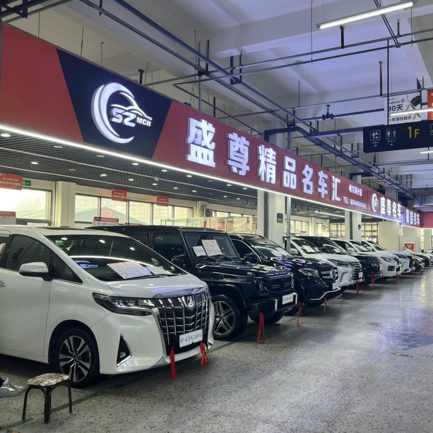 盛尊严选车