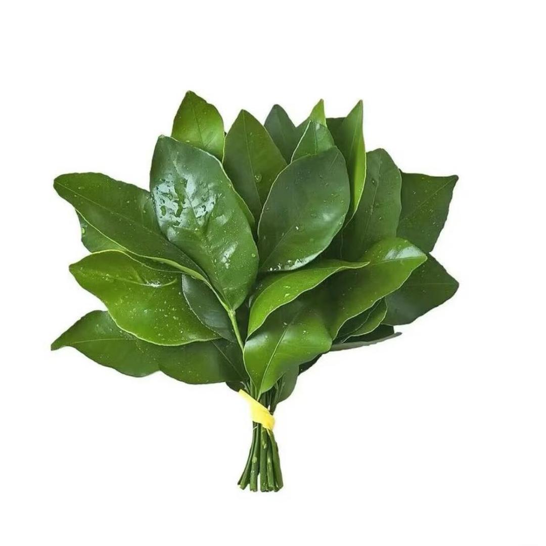 阎良想租房买房找小杜