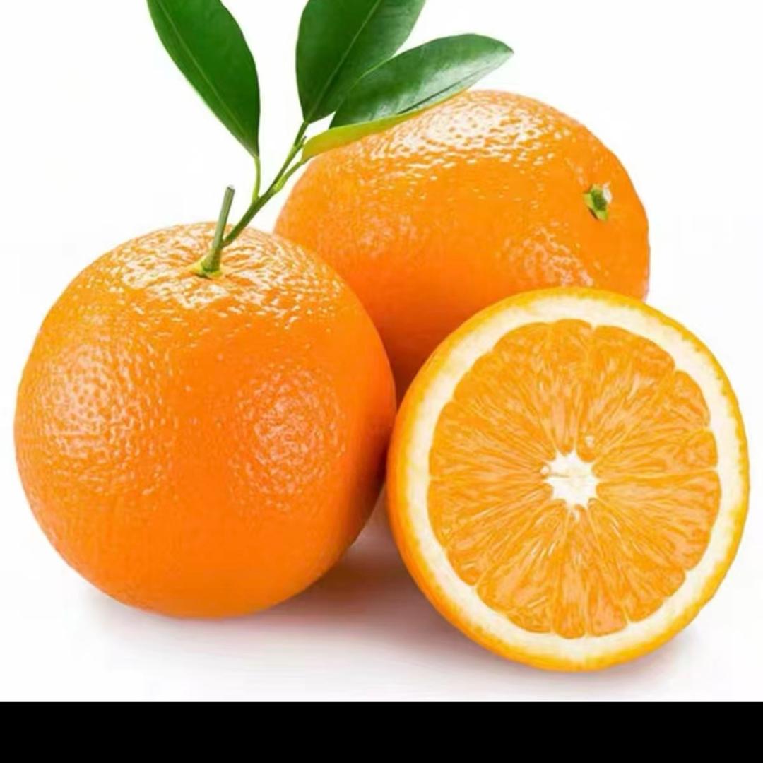 神马销售赣南脐橙