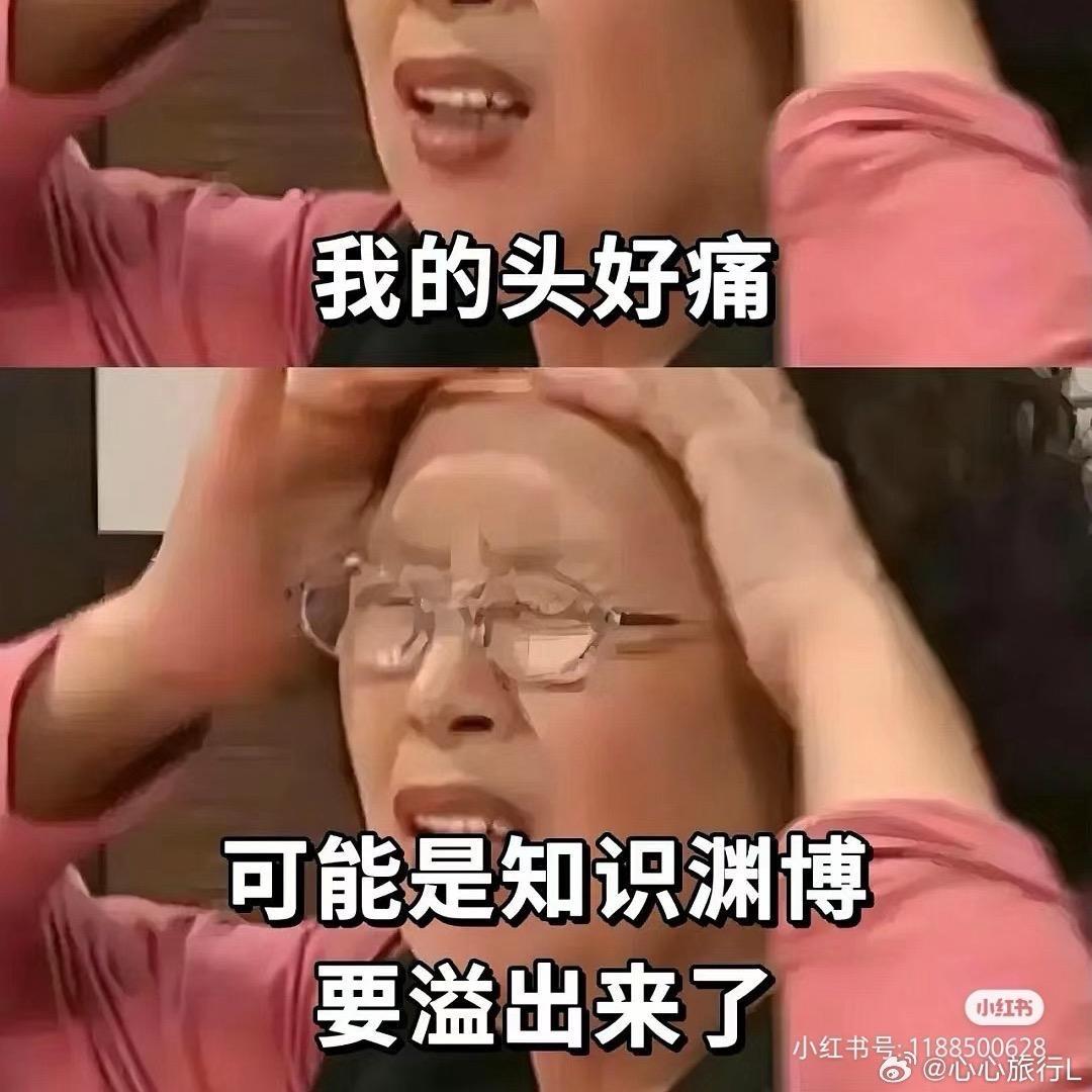 毛毛虫🐛