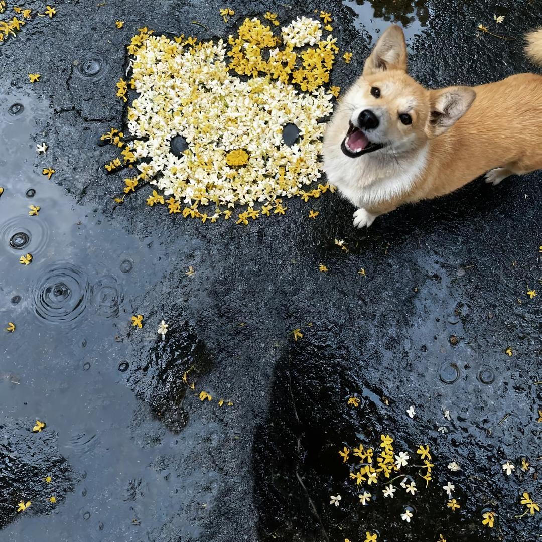 1203