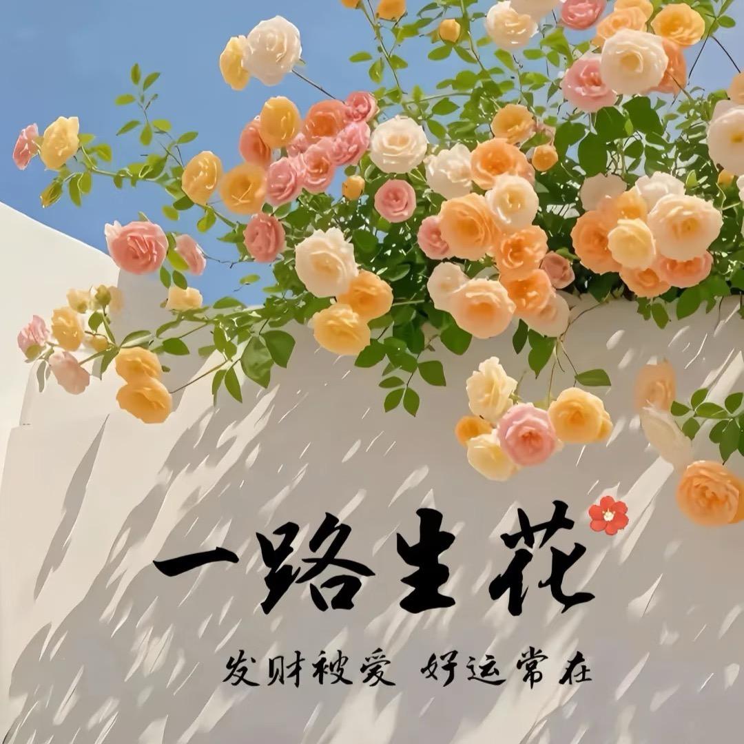 商水紫澜门（润德店）-小敏