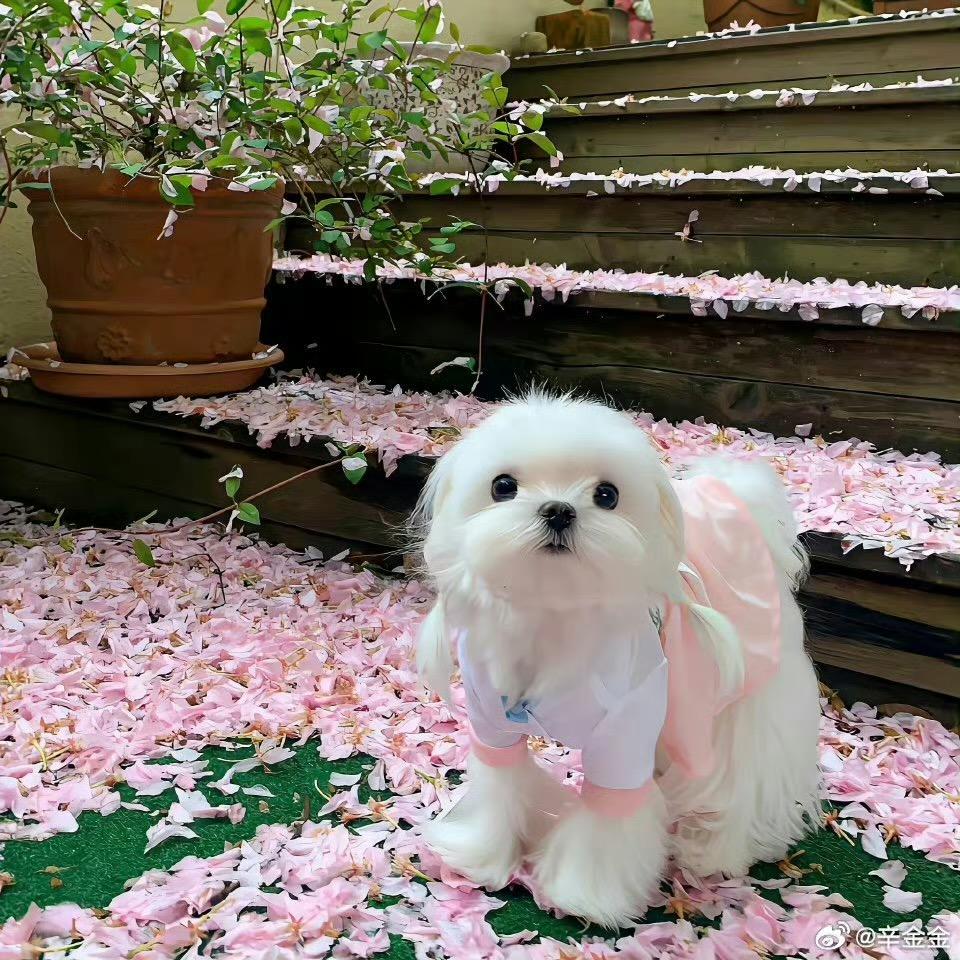 哒哒哒哒哒