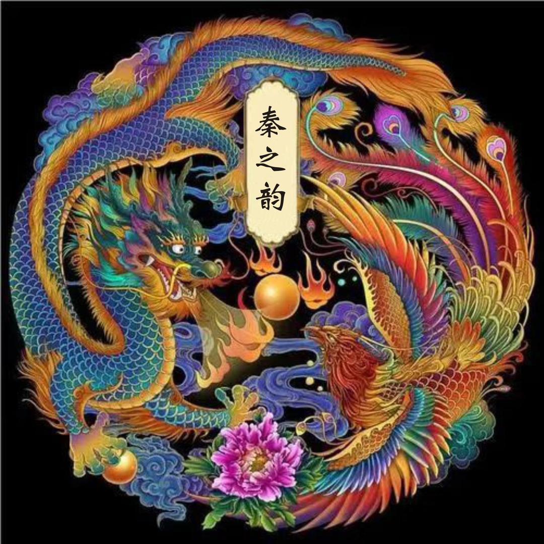 涛哥《秦》