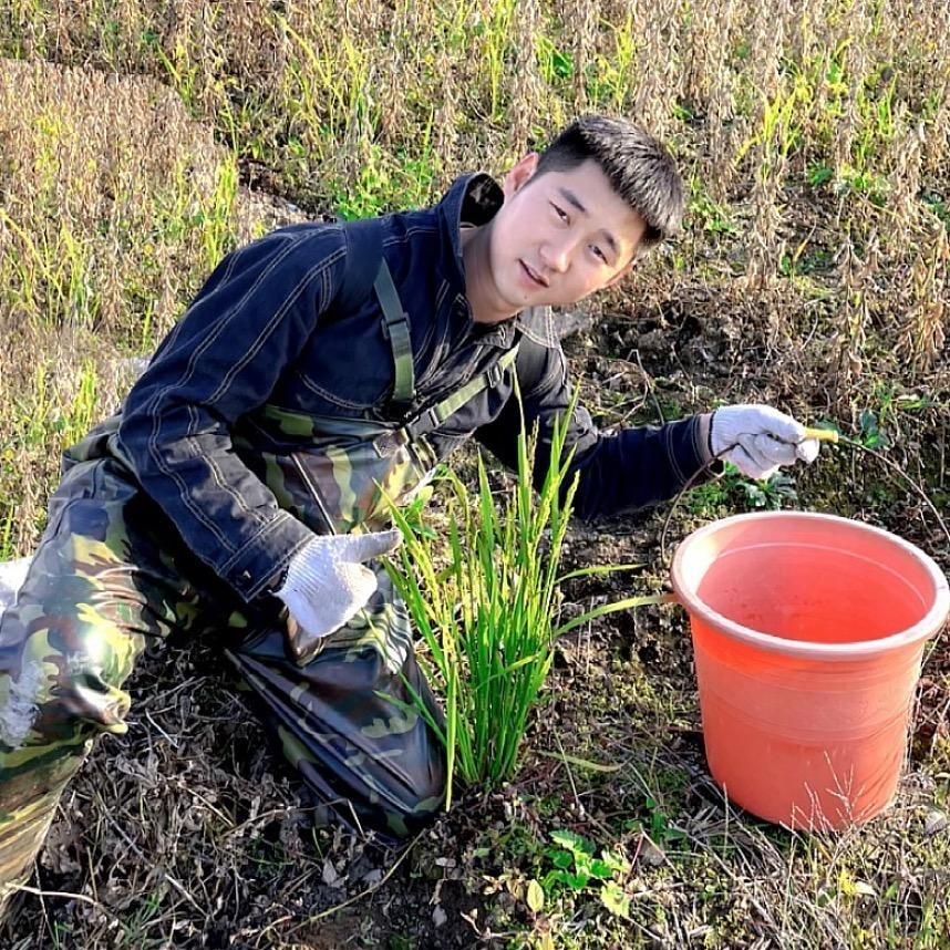 武（电路）