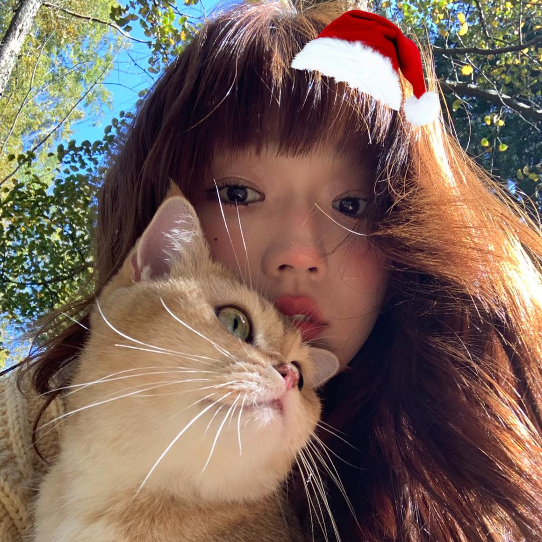 莉莉不喝全糖ฅ(៸៸᳐⁃⩊⁃៸៸᳐)ฅ