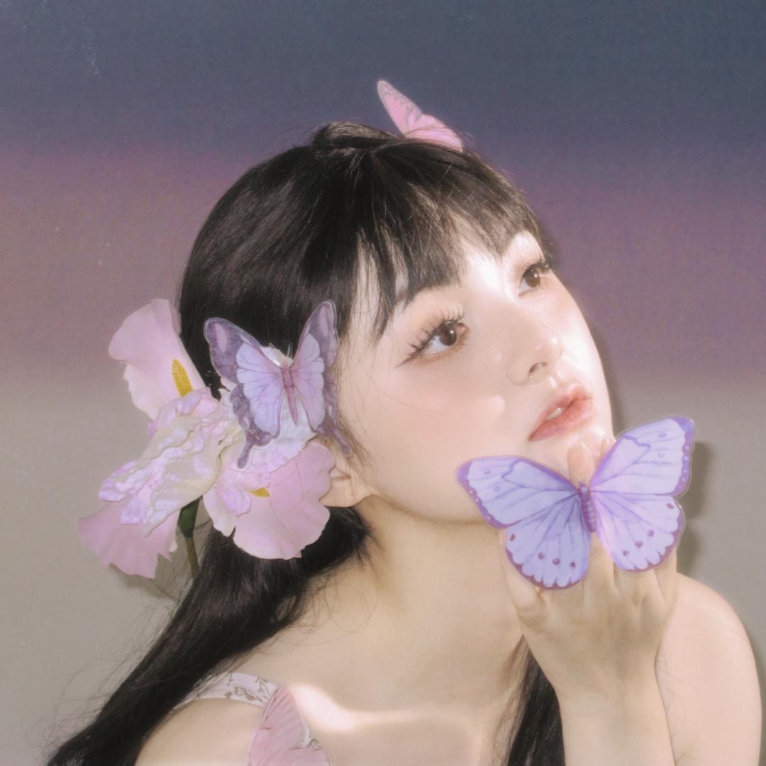 老糖杉菜