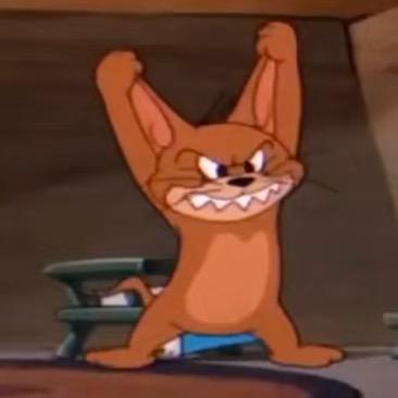 猪皮恶霸