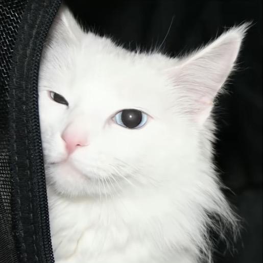 .R