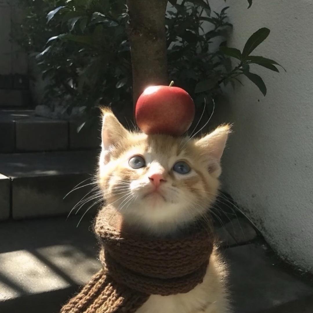 Feb