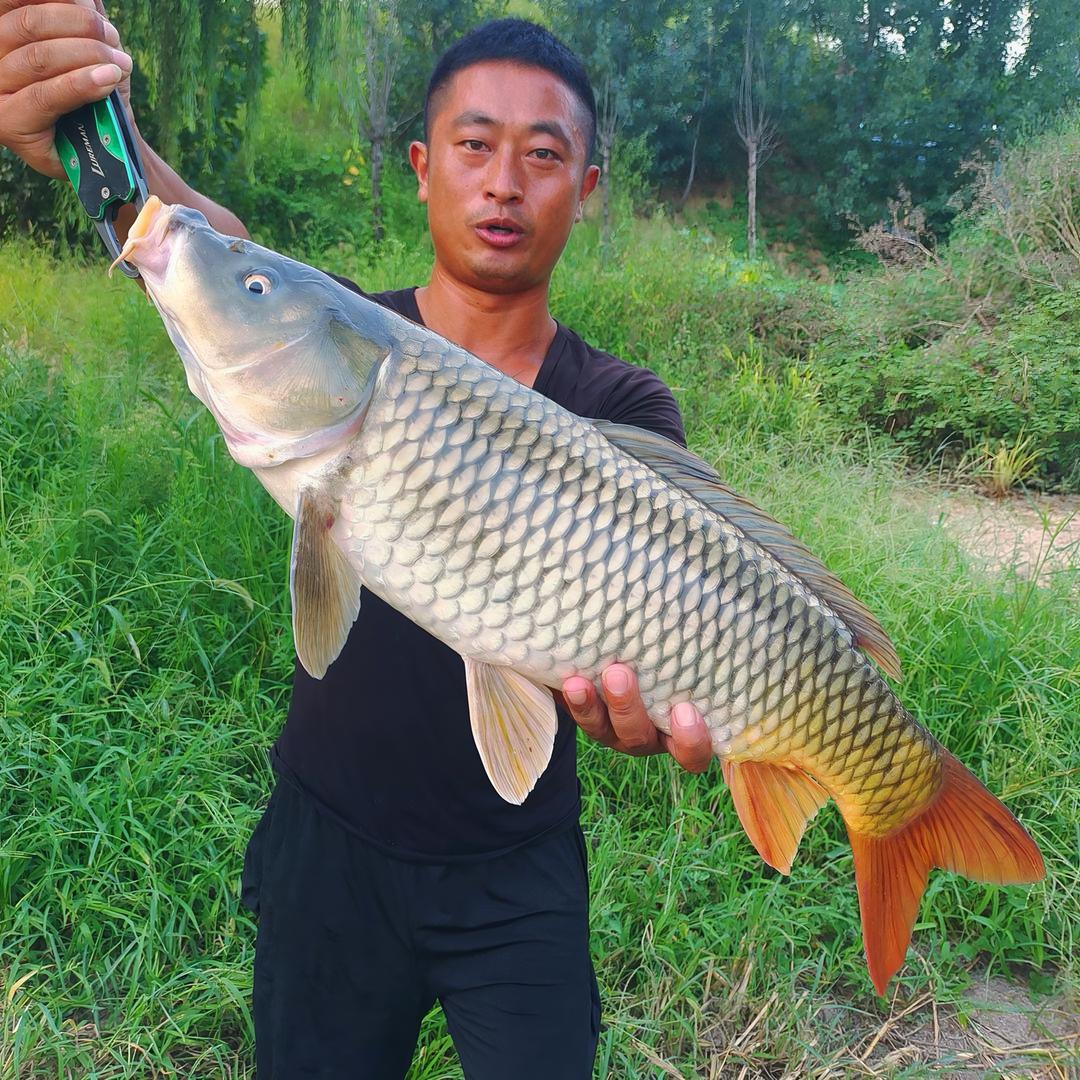 胡进钓鱼（胡九斤）