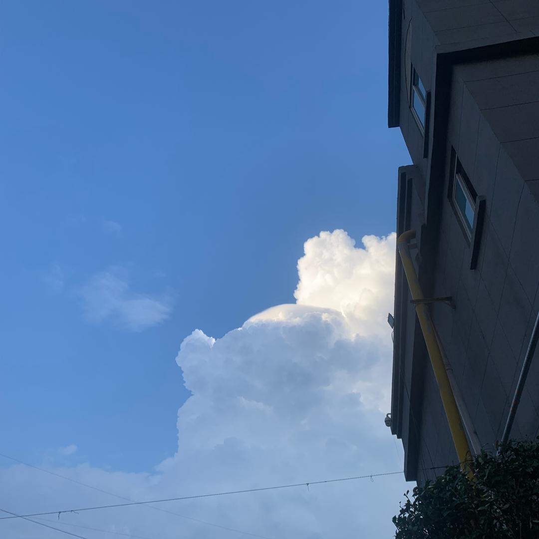雅姐