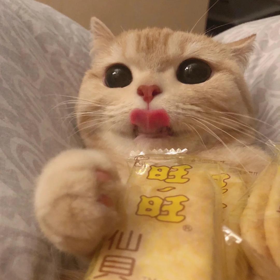 柿子🍅