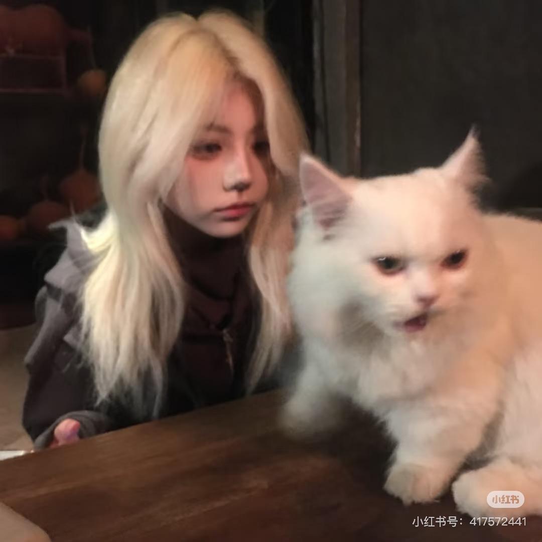 小龟儿.