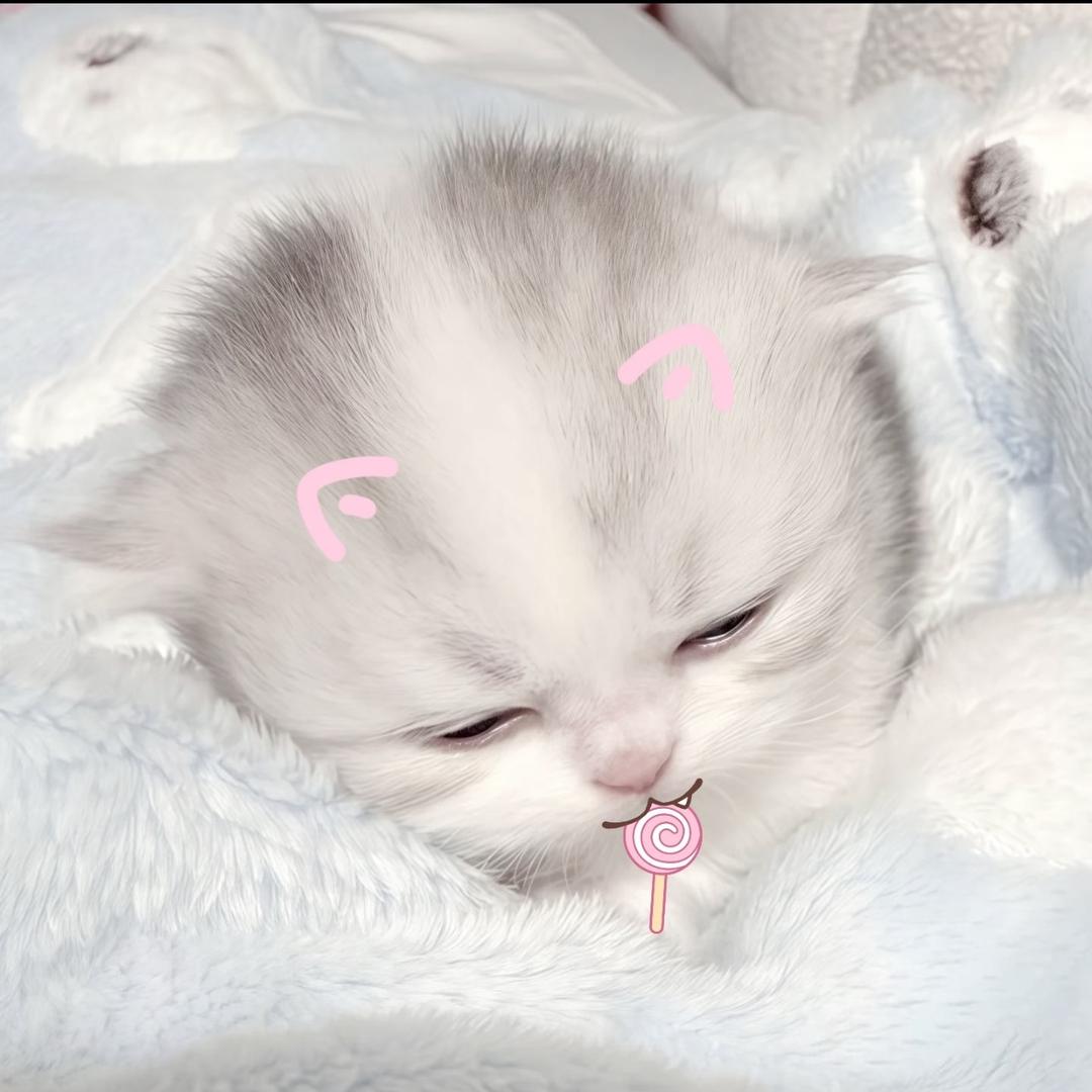 不可爱还很坏