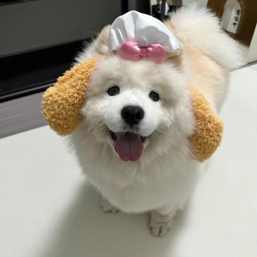宝~