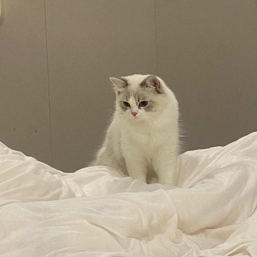 生生穗